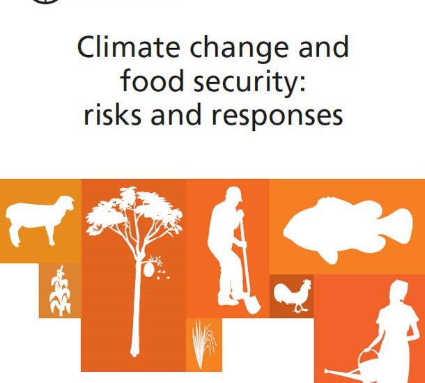 Climate Change and Food Security in 2024