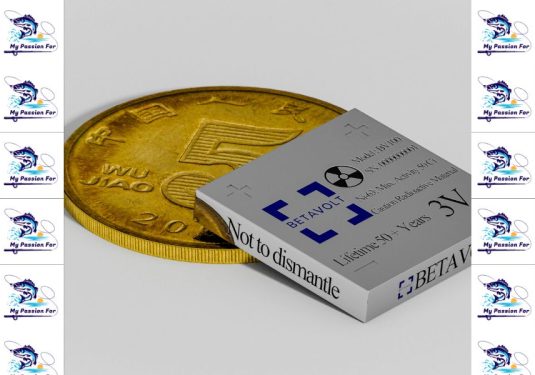 China mini nuclear battery